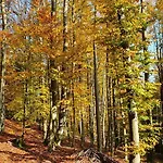 Pod Skarpa Z Balia Wiezyca شقة