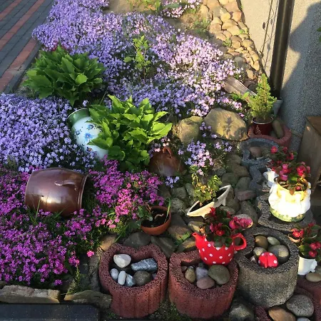 Wiezyca דירה סימבארק