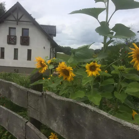 Pod Skarpa Z Balia Wiezyca Szymbark (Pomerania)