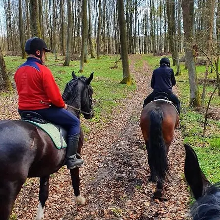 Wiezyca * סימבארק