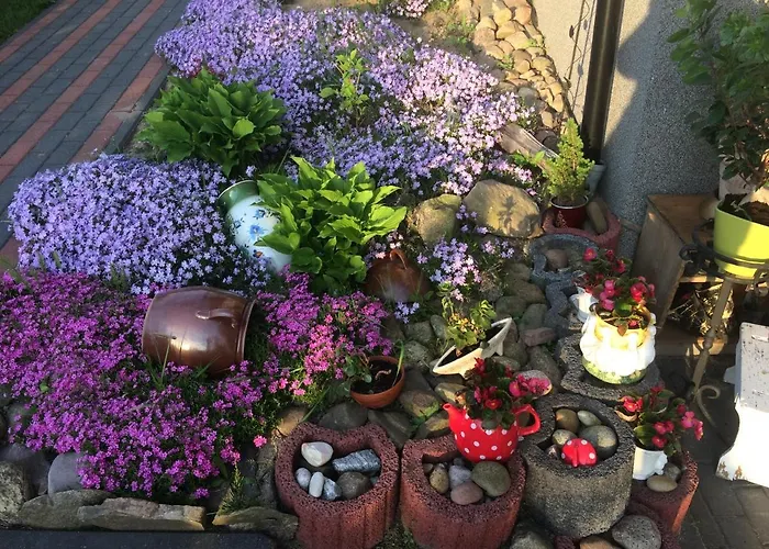 Wiezyca Διαμέρισμα Szymbark (Pomerania)