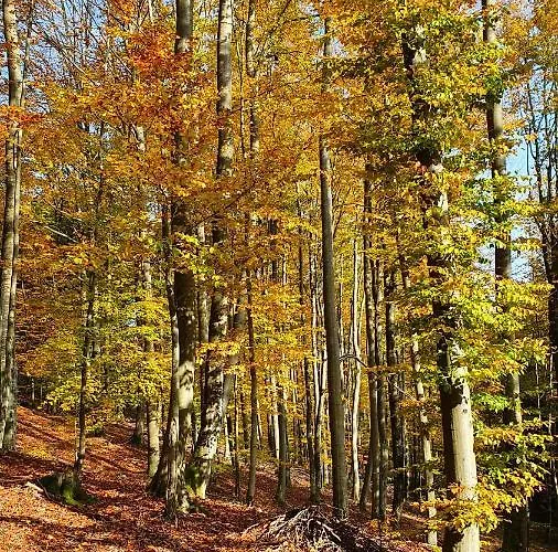 Pod Skarpa Z Balia Wiezyca Apartmán