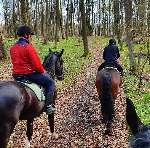 Wiezyca * Szymbark (Pomerania)