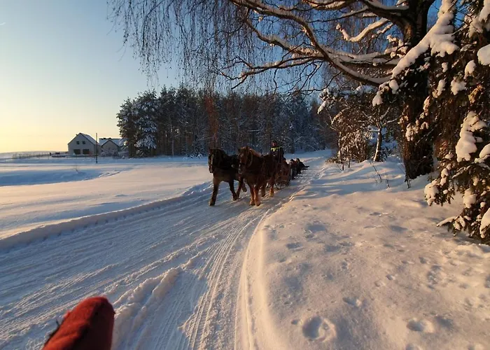 Wiezyca Διαμέρισμα *