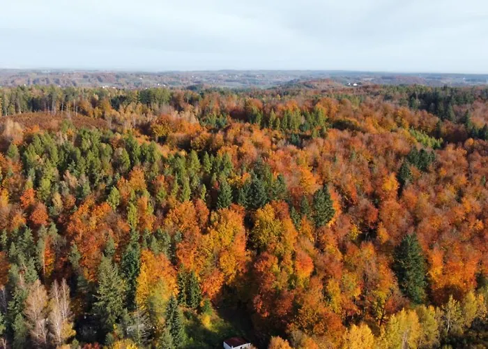 Apartament Pod Skarpa Z Balia Wiezyca * Szymbark (Pomerania)