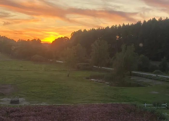 Apartament Pod Skarpa Z Balia Wiezyca * Szymbark (Pomerania)