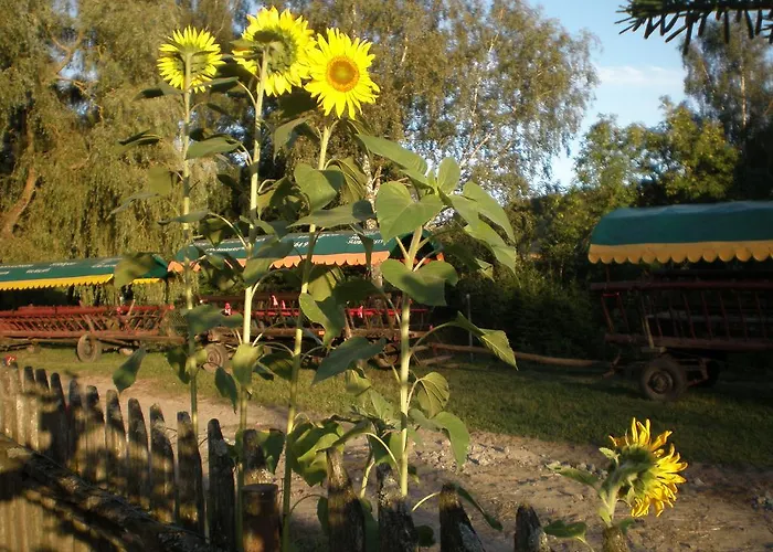 Wiezyca Διαμέρισμα