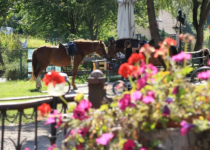 Apartament Pod Skarpa Z Balia Wiezyca Apartment