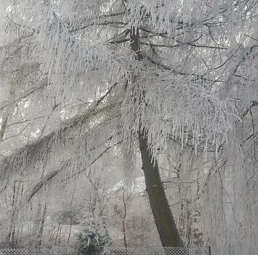 Διαμέρισμα Wiezyca Szymbark (Pomerania)